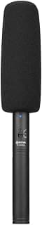 Axppin Microfone Condensador B.oya By-bm6060 Polar Supercardioide Shotgun para Câmera Mirrorless Dslr Ideal para Gravações ao Ar Livre e Entrevistas - Produto 6 mais recomendado com 5 estrelas