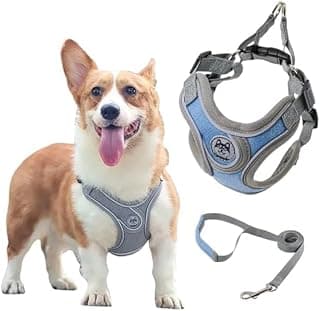 Coleira Peitoral para Cachorros Ajustável com Guia de Passeio (Mescla, G) - Produto 2 mais recomendado com 4.5 estrelas