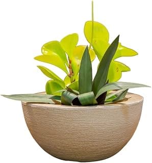 VASOS POLIETILENO BACIA DECORATIVO P/PLANTAS/JARDINS/ESCRITÓRIOS LUXO (BEGE) - Produto 8 mais recomendado com 4.4 estrelas