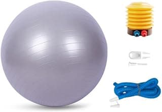 Bola Pilates Yoga Abdominal Ginástica Fitness 65 cm C/Bomba PRATA - Produto 3 mais recomendado com 4.5 estrelas
