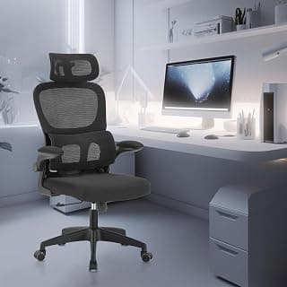 Cadeira de escritório, design ergonômico com suporte lombar independente, malha respirável e encosto de cabeça ajustável (Preto) - Produto em review com 4.1 estrelas e 2.700 avaliações