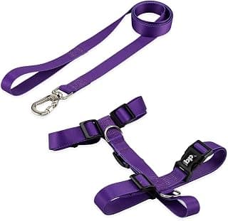 Basic Pet Coleira Peitoral Com Guia Para Cachorro Cães Modelo Tradicional H Tamanho Porte Grande Médio Pequeno (G, Roxo) - Produto 8 mais recomendado com 4.5 estrelas
