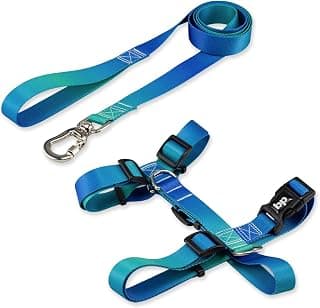 Basic Pet Coleira Peitoral Com Guia Para Cachorro Cães Modelo Tradicional H Tamanho Porte Grande Médio Pequeno (M, Lake) - Produto 9 mais recomendado com 4.5 estrelas