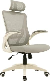 Cadeira de Escritório Ergonômica Cinza, Malha Respirável e Encosto de Cabeça Ajustável, Apoio Lombar, Estofado Mesh | Cadeira Presidente com Mecanismo de Elevação e Inclinação | HYATTO OFFICE | - Produto 8 mais recomendado com 3.9 estrelas