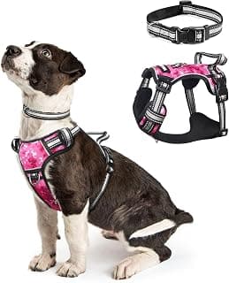 WINSEE Peitoral para cães que não puxa, peitoral para animais de estimação com coleira para cães, colete Oxford refletivo ajustável, clipes de coleira frontal/traseira para cães pequenos, médios, - Produto 1 mais recomendado com 4.5 estrelas