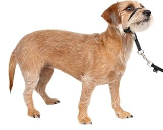 PetSafe Coleira de cabeça suave Leader, coleira de cachorro sem puxar, perfeita para treinamento de coleira e arreio – impede que animais de estimação puxem e asfixia em caminhadas – pequena, preta - Produto 6 mais recomendado com 4.3 estrelas